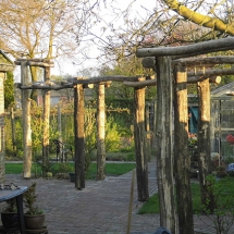 Pergola2